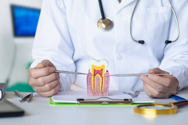 Best Weekend Emergency Dentist in Clearwater, KS